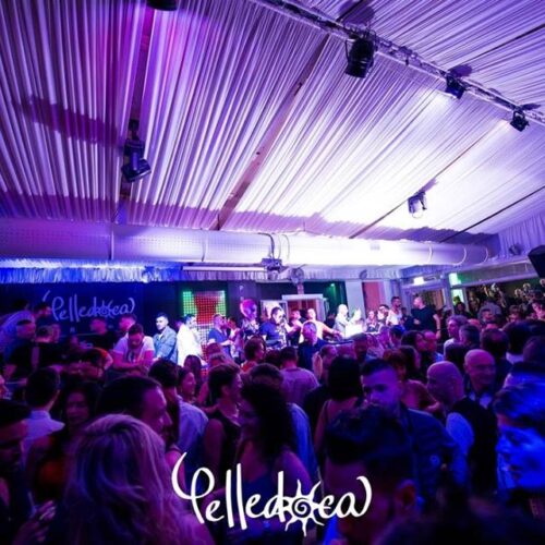 Pelledoca - Organizza il tuo evento 333-3355536